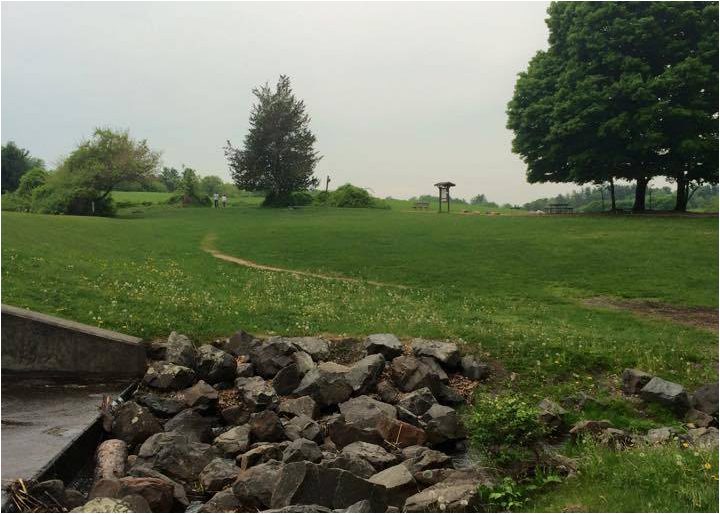 view of the dam at parks pond